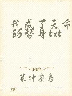 我成了天命之子的替身txt