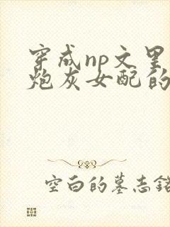 穿成np文里的炮灰女配的快穿小说