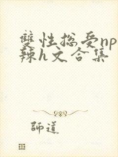 双性总受np高辣h文合集