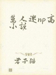 万人迷np高h小说