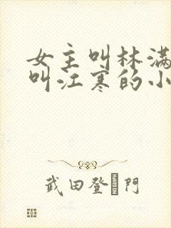 女主叫林满男主叫江寒的小说