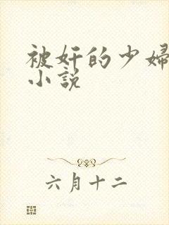 被奸的少妇长篇小说