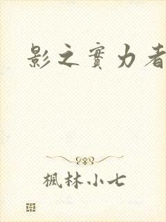 影之实力者残响