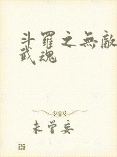 斗罗之无敌异火武魂