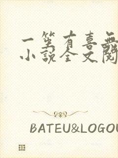 一笙有喜无删减小说全文阅读