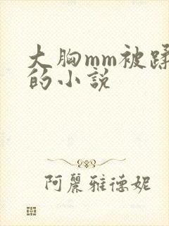 大胸mm被蹂躏的小说