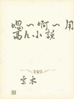 嗯～啊～用力～高h小说