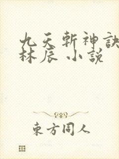 九天斩神诀小说林辰 小说