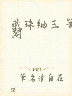 藏珠纳玉 笔趣阁