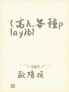 (高h,各种play)bl