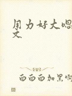 用力好大嗯啊h文