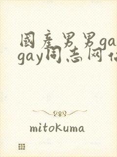 国产男男gaygay同志网站