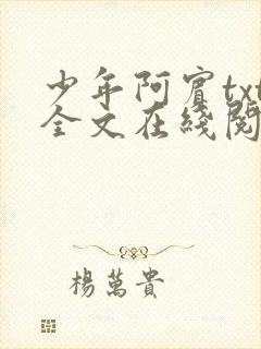 少年阿宾txt全文在线阅读