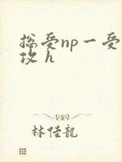 总受np一受多攻 h封面