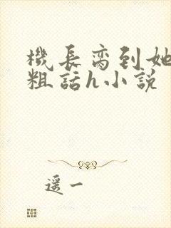 机长脔到她哭h粗话h小说