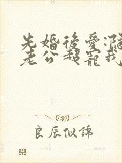 先婚后爱:隐婚老公超宠我