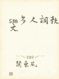 sm多人调教h文