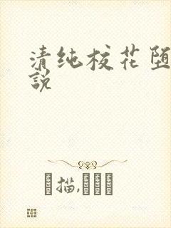 清纯校花堕落小说