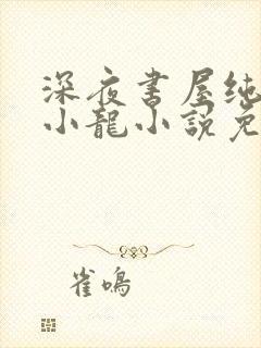深夜书屋纯洁滴小龙小说免费阅读免费封面