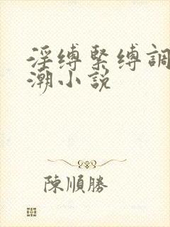 淫缚紧缚调教高潮小说