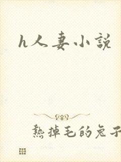 h人妻小说