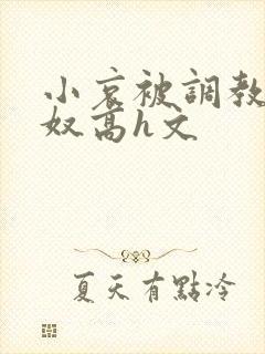 小哀被调教成肉奴高h文封面