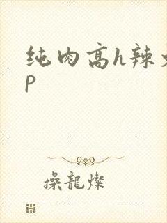 纯肉高h辣文np
