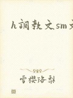 h调教文sm文封面