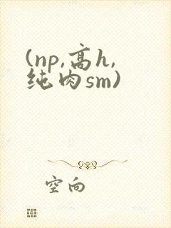 (np,高h,纯肉sm)封面