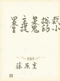 男主是总裁女主会捉鬼的小说