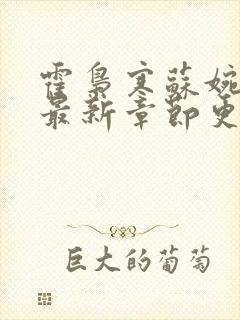 霍枭寒苏婉小说最新章节更新列表