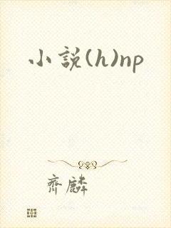 小说(h)np