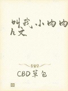 叫我小肉肉的高h文