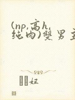 (np,高h,纯肉)双男主