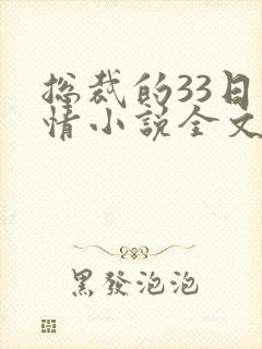 总裁的33日索情小说全文免费封面