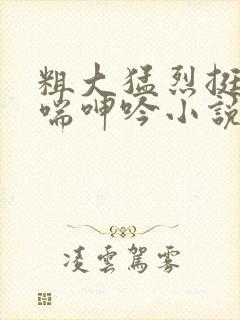 粗大猛烈挺进娇喘呻吟小说封面