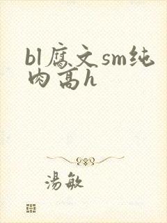 bl腐文sm纯肉高h