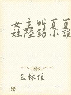 女主叫夏夏男主姓陆的小说