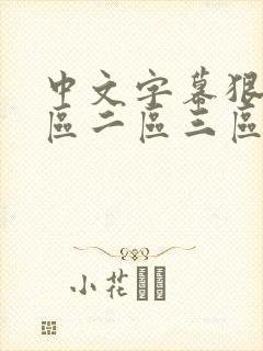 中文字幕狠色一区二区三区