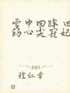 雪中回眸 四爷的心尖宠妃封面