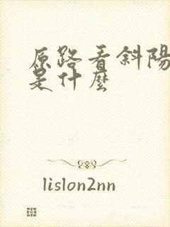 原路看斜阳讲的是什么