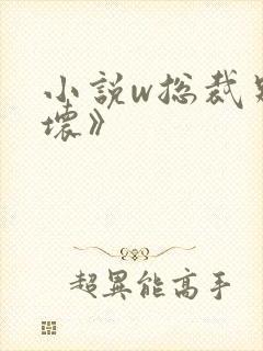 小说w总裁别太坏》封面