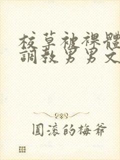 校草被裸体玩弄调教男男文封面