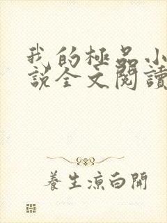 我的极品小姨小说全文阅读