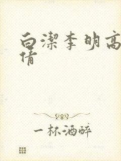 白洁李明高义孙倩封面