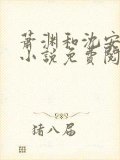 萧渊和沈安安的小说免费阅读封面