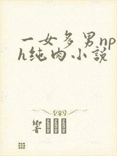 一女多男np高h纯肉小说