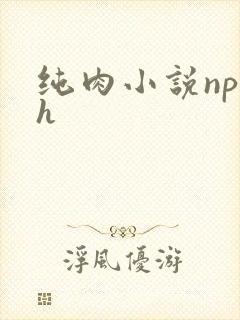 纯肉小说np高h