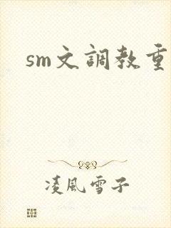 sm文调教重口