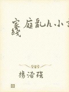 家庭乱h小说在线